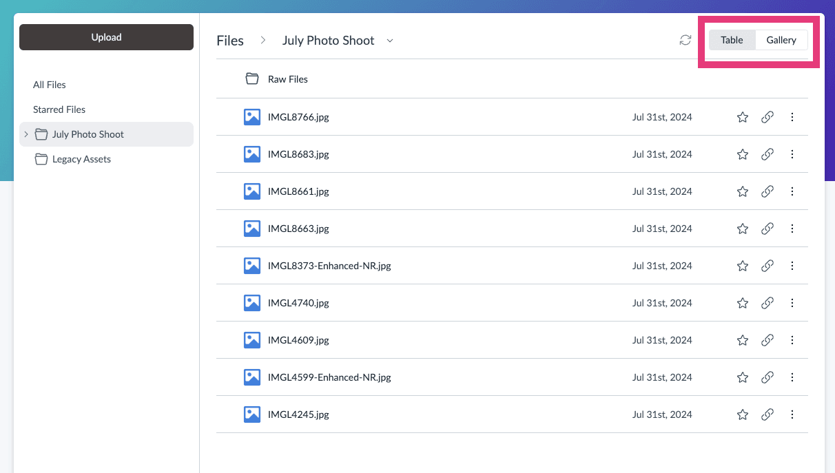 Files header with the Table and Gallery view controls highlighted