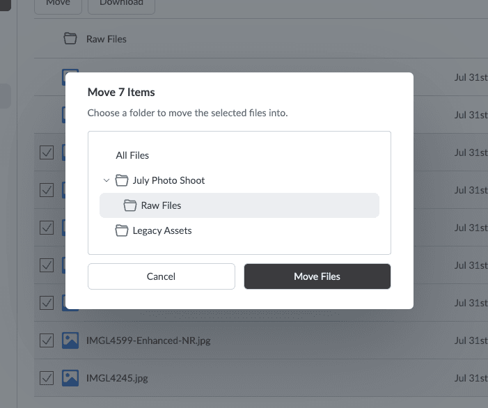Move Files dialog with a destination folder selected