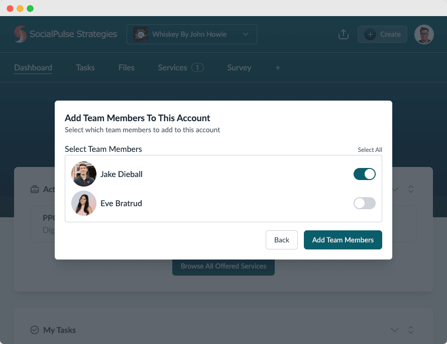 Add Team Members dialog with account members selected