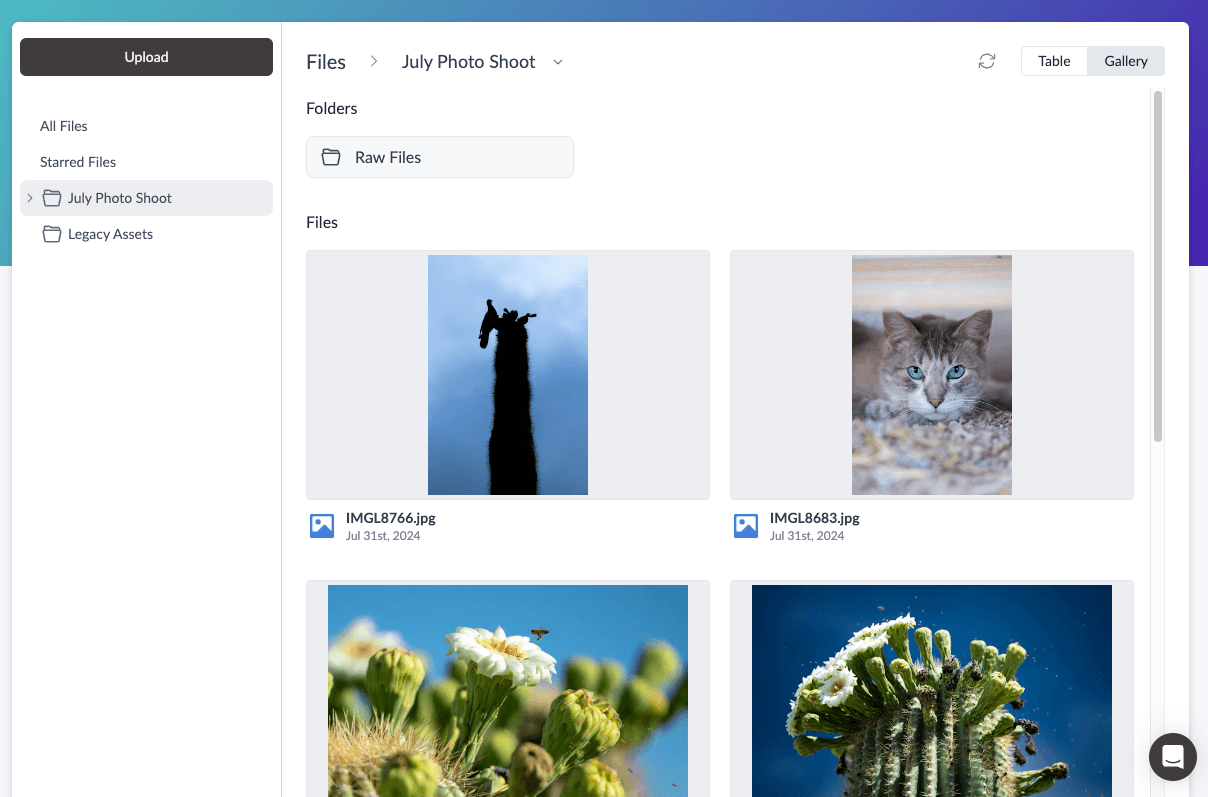 Files shown as image thumbnails in Gallery view