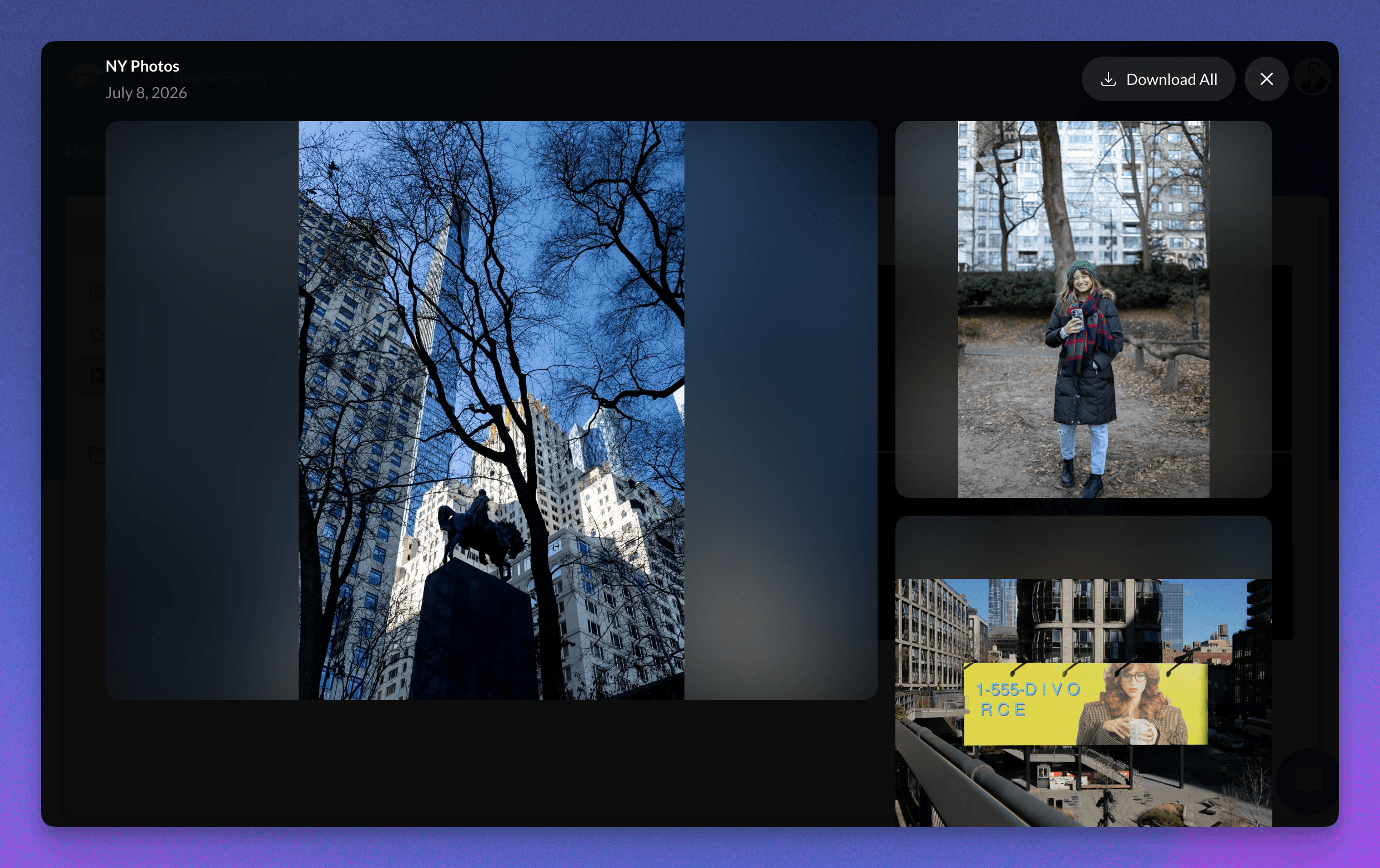 Client viewing Deliverable files in the full-screen viewer