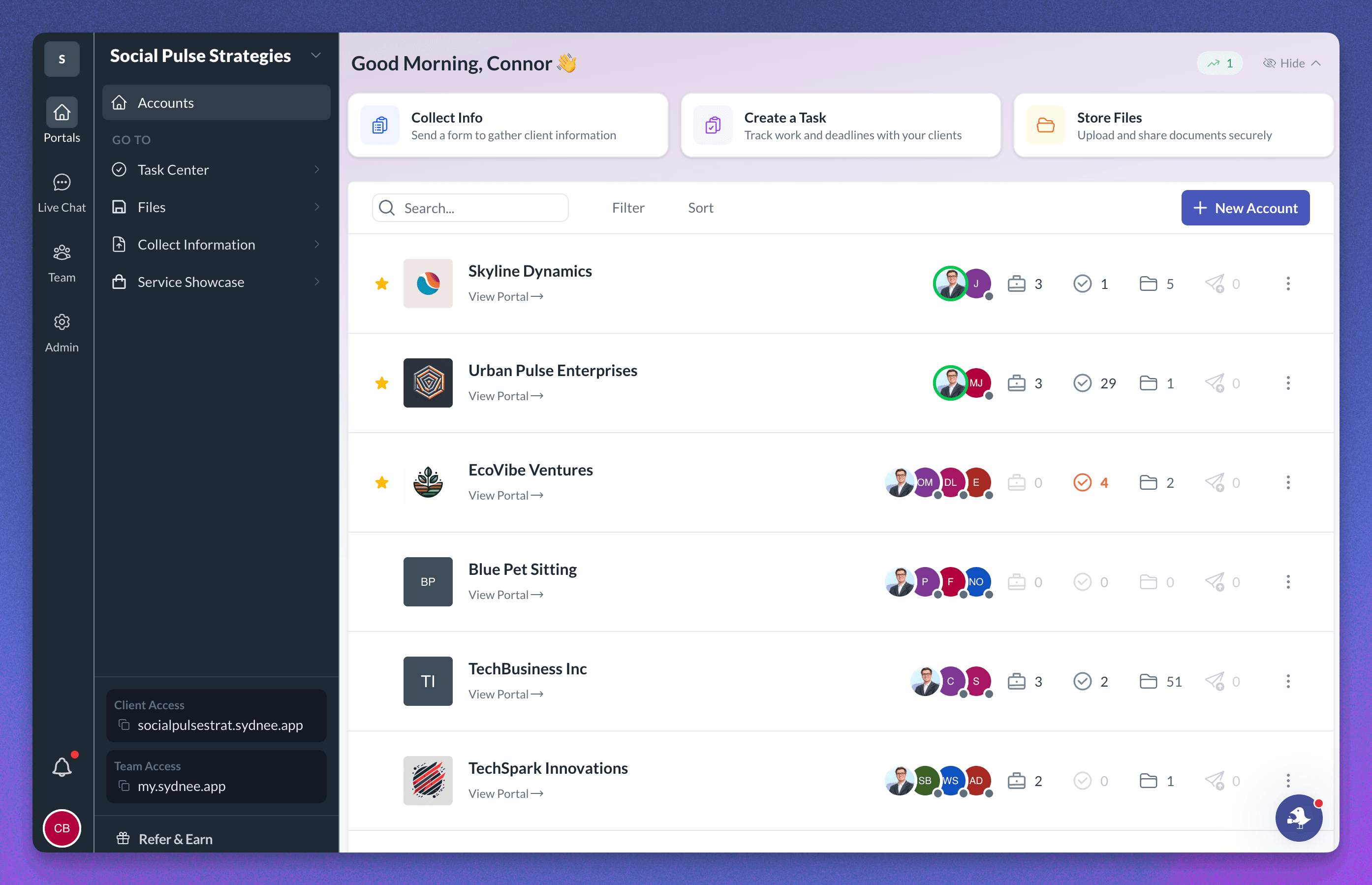 Sydnee backend view with workspace navigation and client accounts