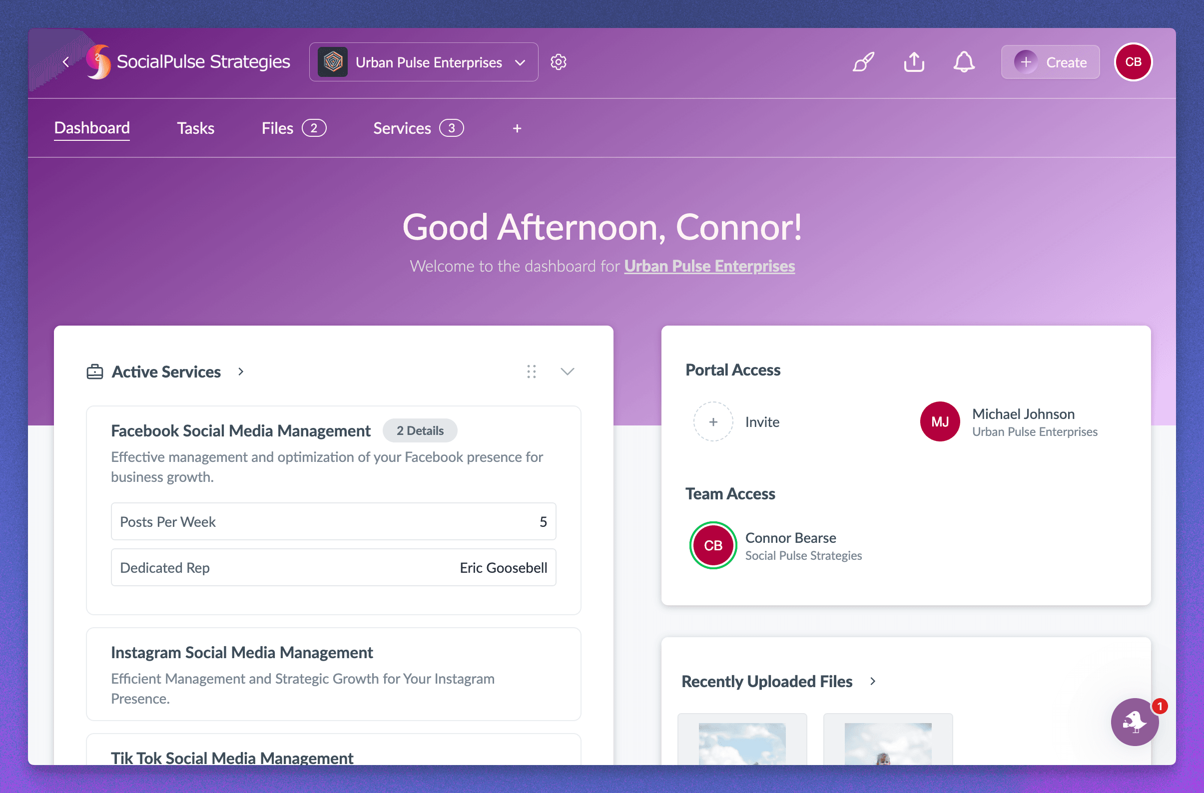 Branded client portal view with the account dashboard