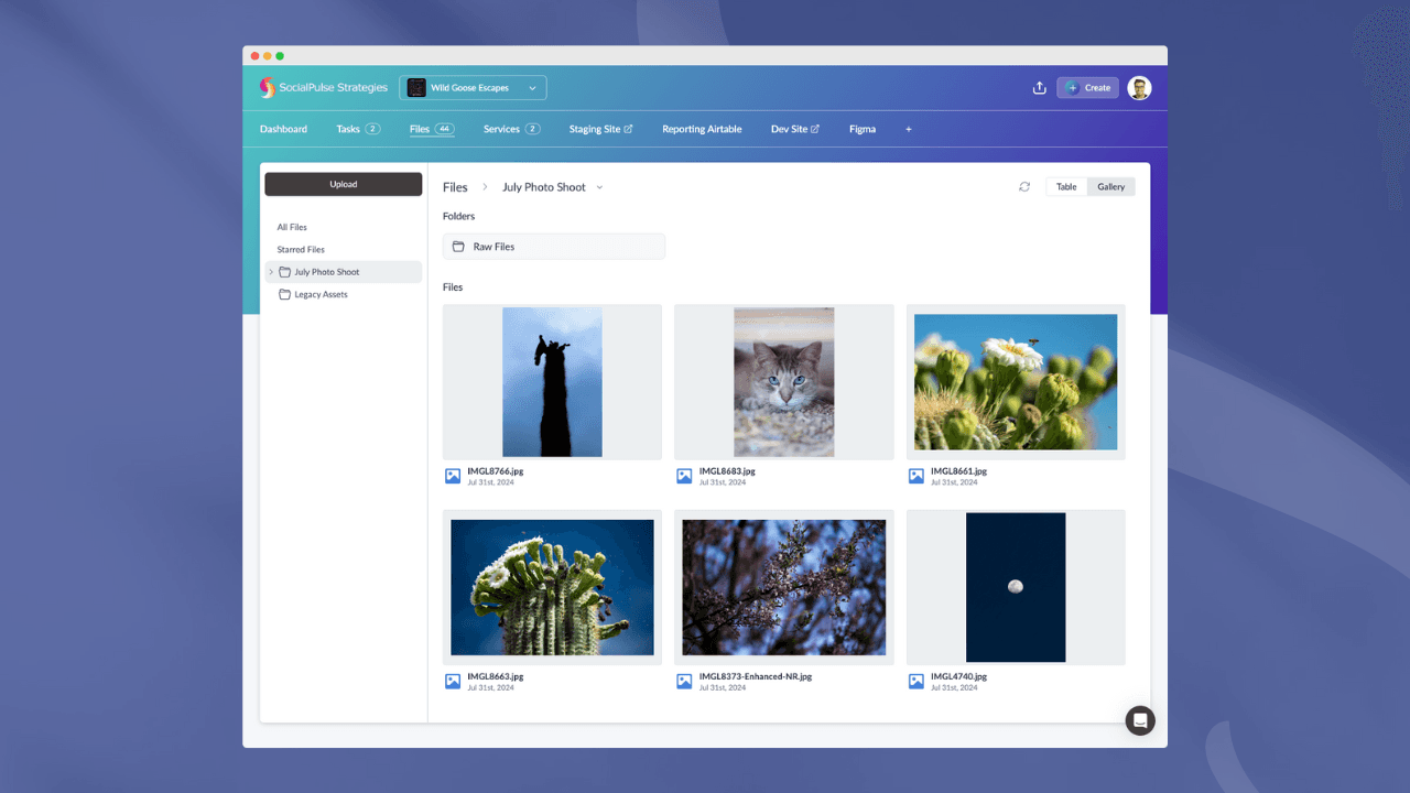 Improved Folders and New Gallery View for File Management