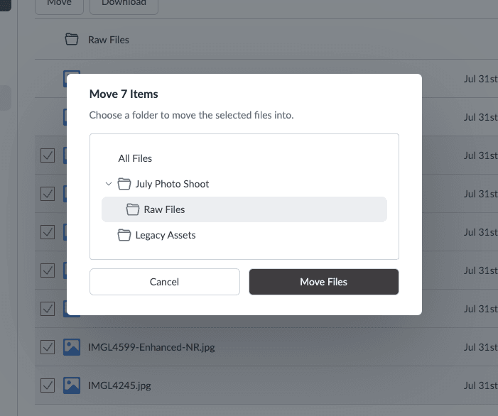 Move Files dialog with a destination folder selected