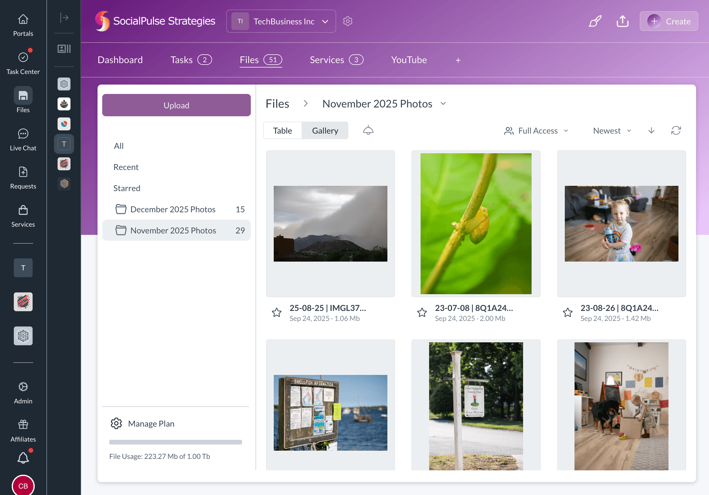 File management interface showing folder organization and file preview capabilities