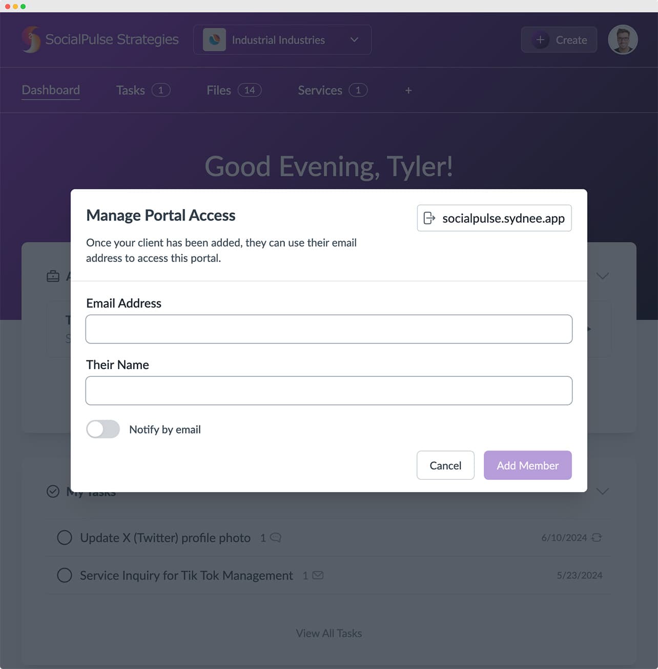 Sydnee passwordless login screen showing email-based one-time access code entry