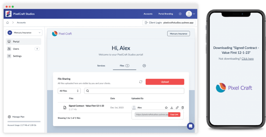 A screenshot of the Sydnee client portal showing off the branded file sharing.