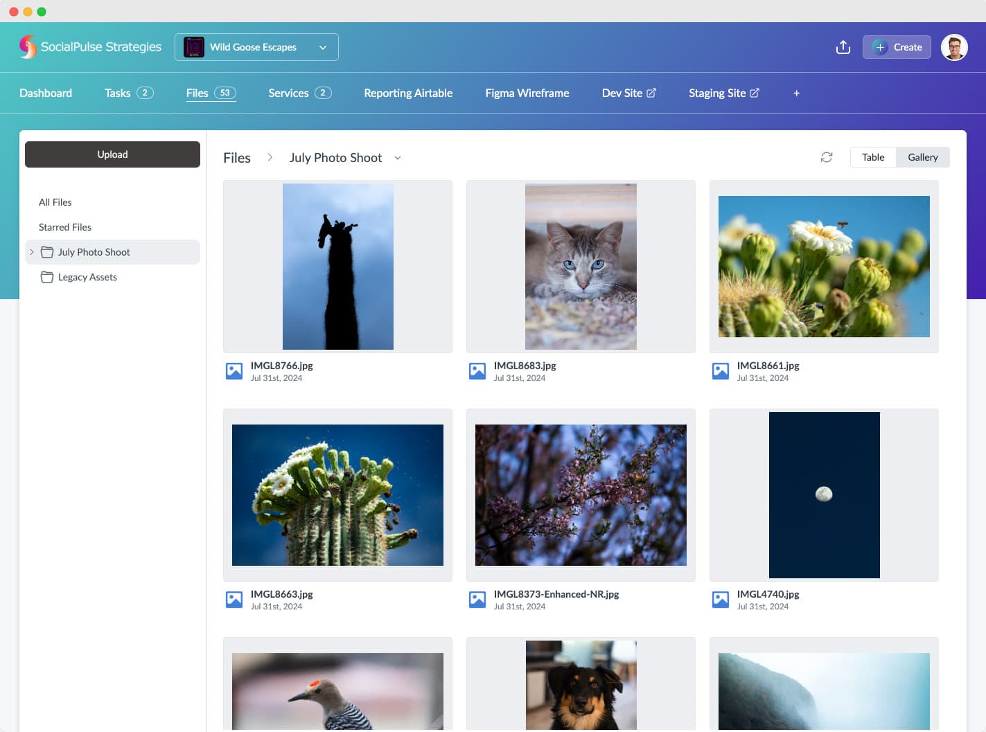 Branded client file storage and sharing inside Sydnee