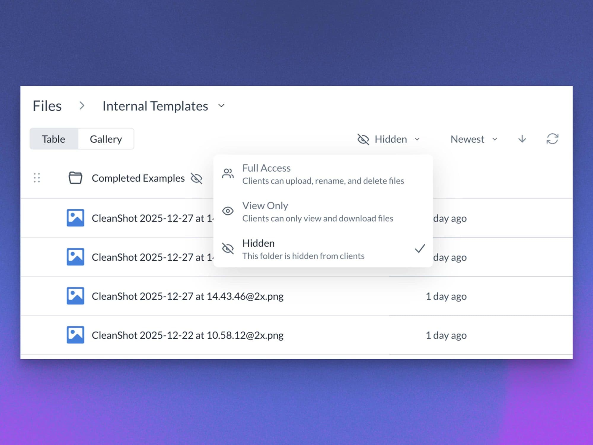 Folder-level client access options in the Sydnee file manager