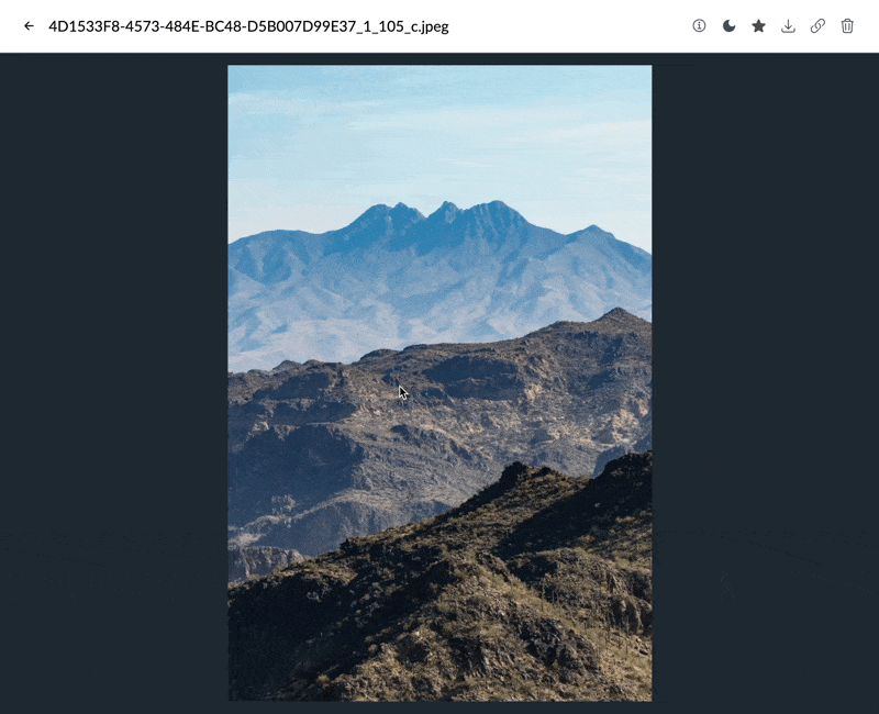 Opening a file and viewing its saved information